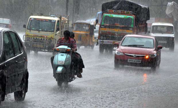 Heavy rains lash Punjab at harvest time