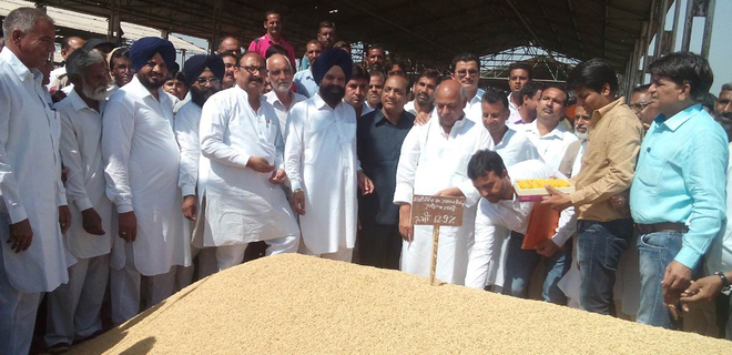 Paddy purchase begins in Abohar