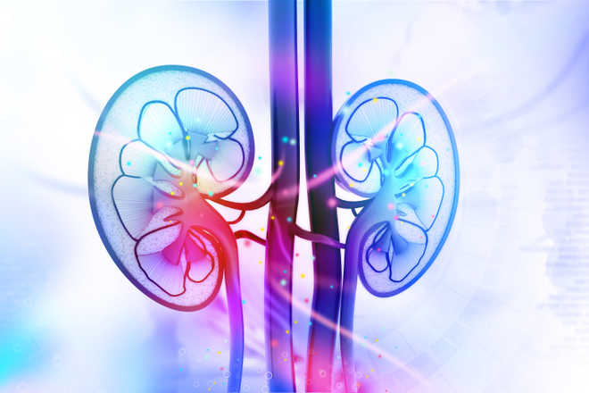 Chronic kidney disease may lead to diabetes