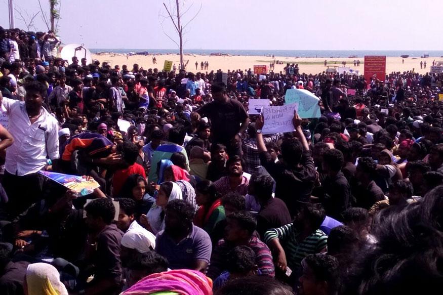 SC Keeps Itself Away From pro-Jallikattu Protests in Tamil Nadu