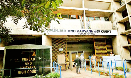 Punjab & Haryana HC seeks to put brakes on free run of snatchers