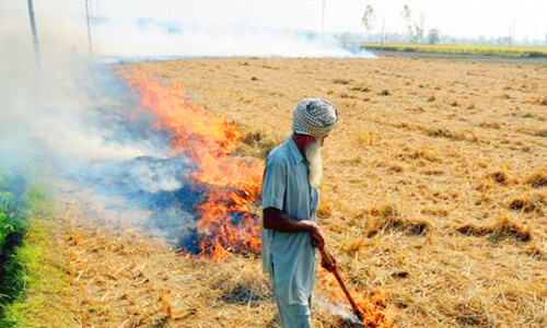 Stubble-burning: NGT notice to Centre over aid to state
