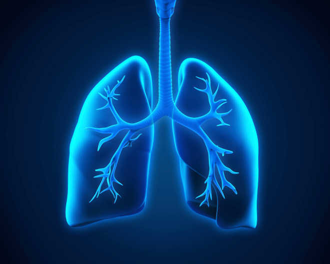 Lung capacity of Indians 30% lower than Europeans