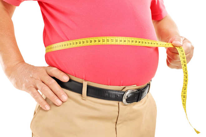 Tweaking gut bacteria may cut obesity, diabetes risk