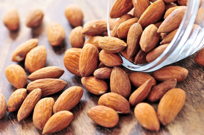 Almonds may reduce risk of cardiovascular disease among Indians: Study