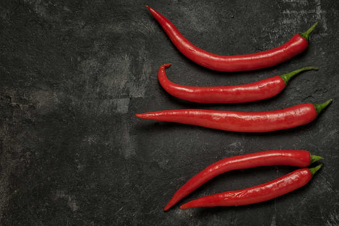 E-tongues can accurately test spicy foods