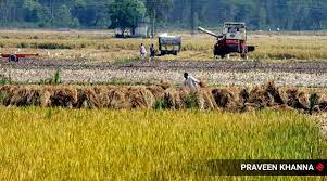 Centre increases MSP for Kharif crops, paddy support price hiked by Rs 72 per quintal
