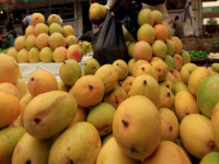 Mangoes may help lower blood sugar : study