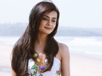 Surveen Chawla to be seen in a steamy number