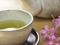 How green tea rids you of oral cancer