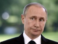 US sanctions against Russia ‘counterproductive, senseless’: Putin