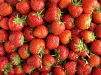 Eat strawberries, improve gut health