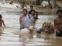 Assam: Flood conditions worsen, over 2.58 lakh hit across 14 districts