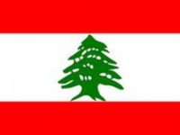 Lebanon crisis needs international assistance urgently: WHO chief