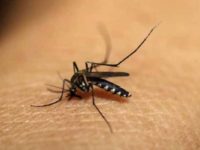 Two more deaths due to dengue, viral fever in UP’s Firozabad