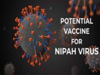 Nipah Virus Outbreak Concerns Authorities; A Potential Vaccine May Be On Its Way