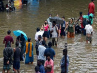 Tamil Nadu Rains: Red alert issued for 16 districts amid heavy rainfall; schools, colleges shut | Top Developments