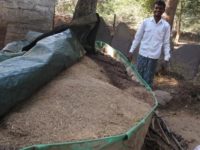 Chitapur: A village that counts its GDP in tamarind trees