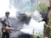 Dengue Cases on Rise in Delhi, Prevent Yourself With These Simple Tips