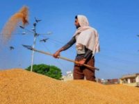 India may not extend free foodgrain scheme beyond September, ex-farm secretary says