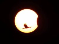 Partial solar eclipse seen in parts of India