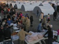 UN appeals for $1 billion to help Turkey quake survivors