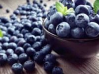 Berry good for your brain: Know how blueberries can boost brain health