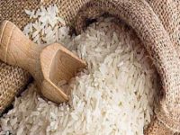 India tightens export rules for Basmati rice to curb illegal trade