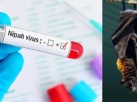 Nipah virus can cause severe infection in kids; expert suggests precautionary measures