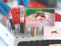 Kolkata On High Alert Amid Sudden Malaria and Dengue Cases Surge: How To Know If You Are Infected?