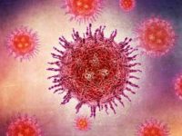 ICMR-NIV study finds presence of Clade 9, a new variant of chicken-pox causing virus in India