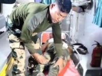 BSF Jawan, Civilian Injured in Pakistan Rangers’ Firing in Jammu’s Arnia, Hospitalised